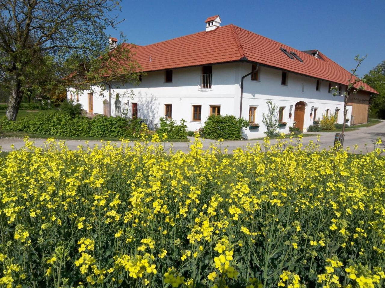 Vitalhof Roithinger Grieskirchen Exterior photo